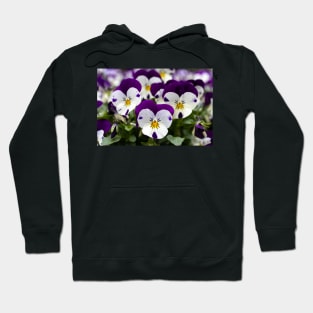 Three Pansies Hoodie